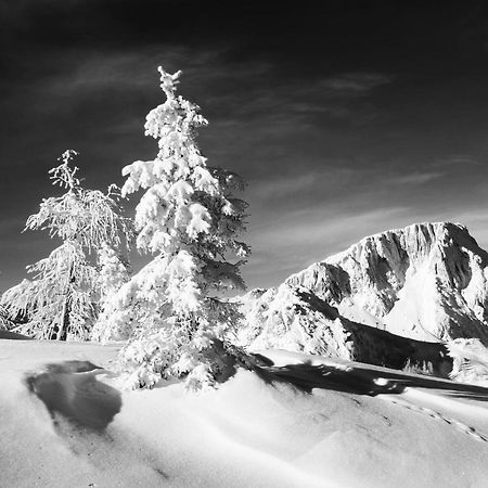 Almhaus Nassfeld Lejlighed Sonnenalpe Nassfeld Eksteriør billede